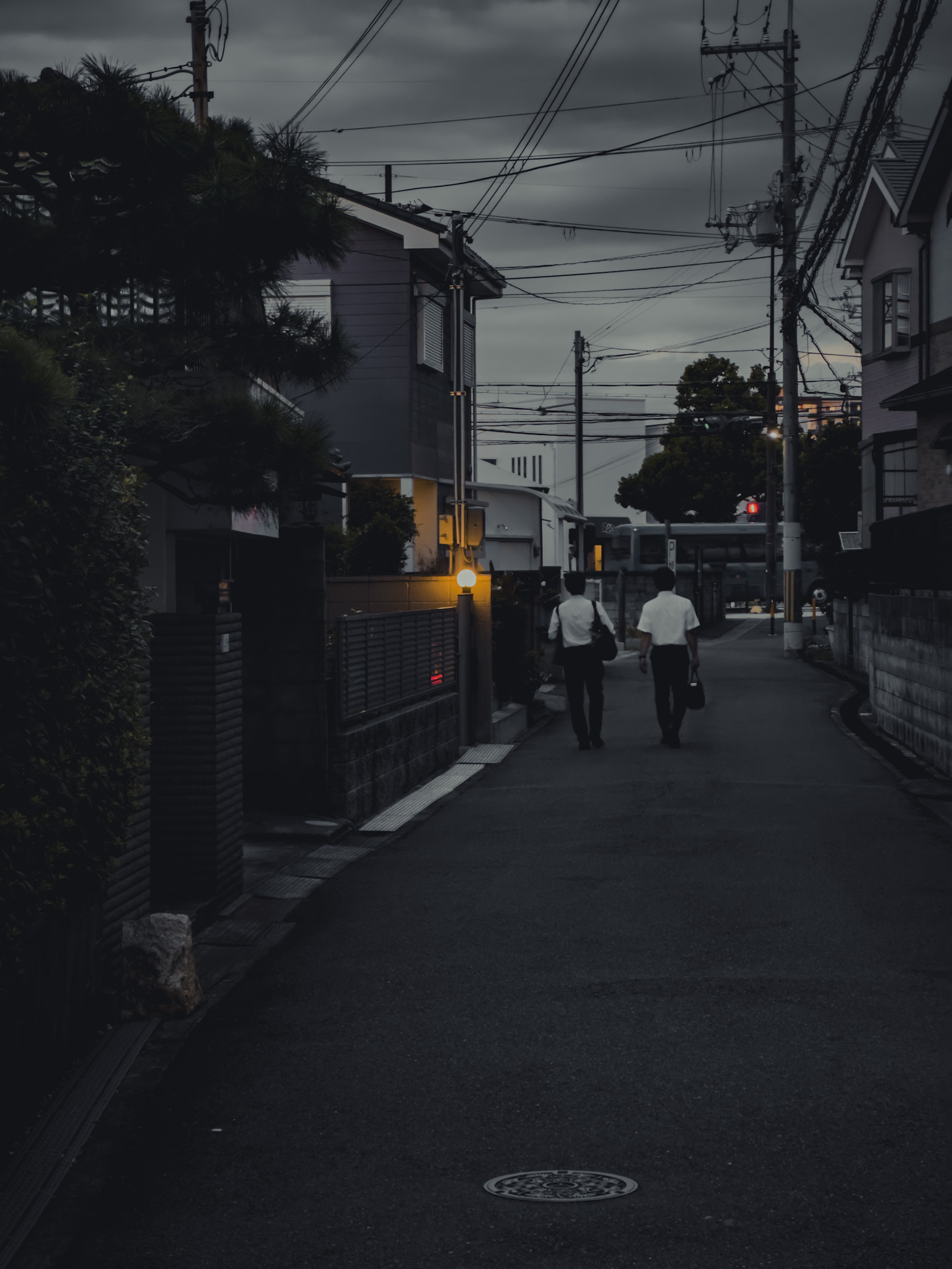 Late afternoon walk